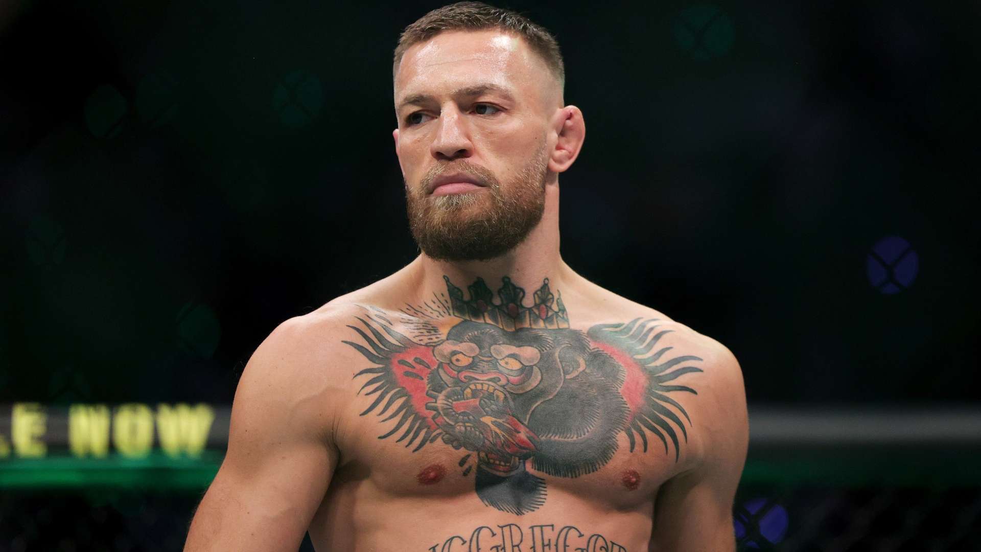 在攻守平衡 在攻守平衡